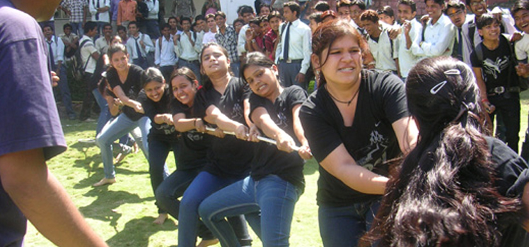 Image Here