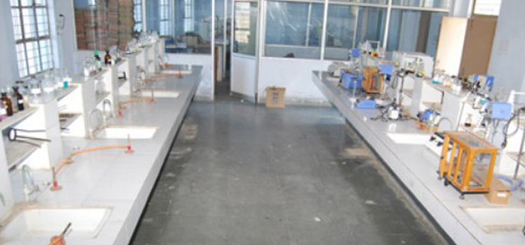 Image Here